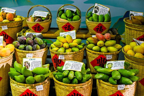 桂字号农产品北上秦皇岛 双向流通桥助力乡村振兴