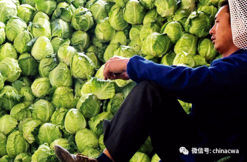 有备无患先收藏！三位专家支招，破解农产品与生活日用品滞销难题