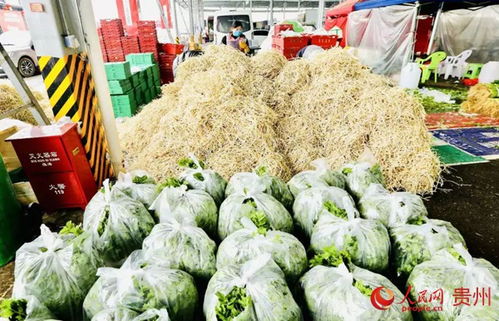 三篇文章装满“菜篮子” 贵阳市农投集团全力保障农产品供给与品质