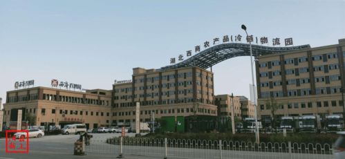 阳新财政携手湖北西商，打通农产品进超市“最后一公里”