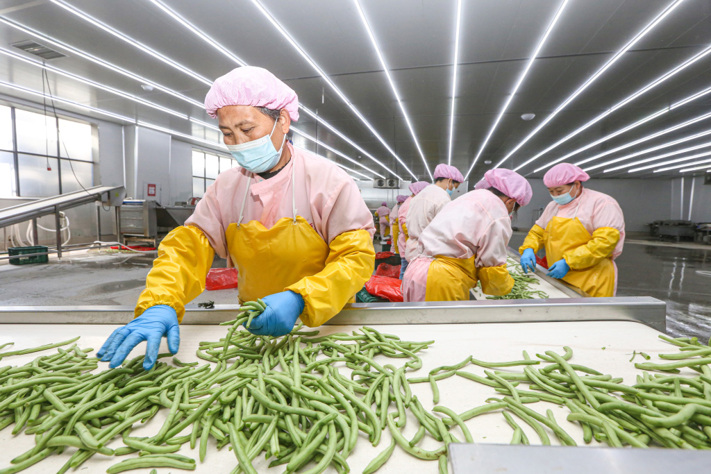 郑蒲港新区绿色食品出口忙 农产品迈向国际舞台