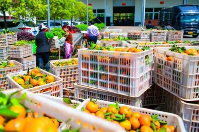 长寿再添9个绿色食品！有你常吃的吗？农产品篇